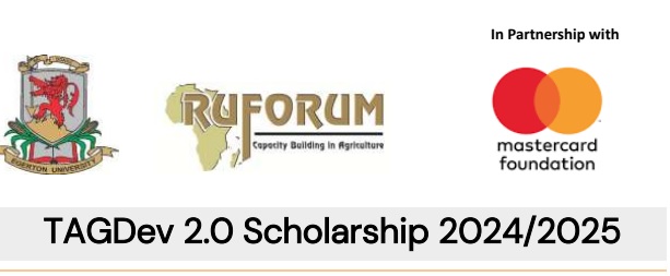 TAGDev 2.0 Scholarship 2024/2025
