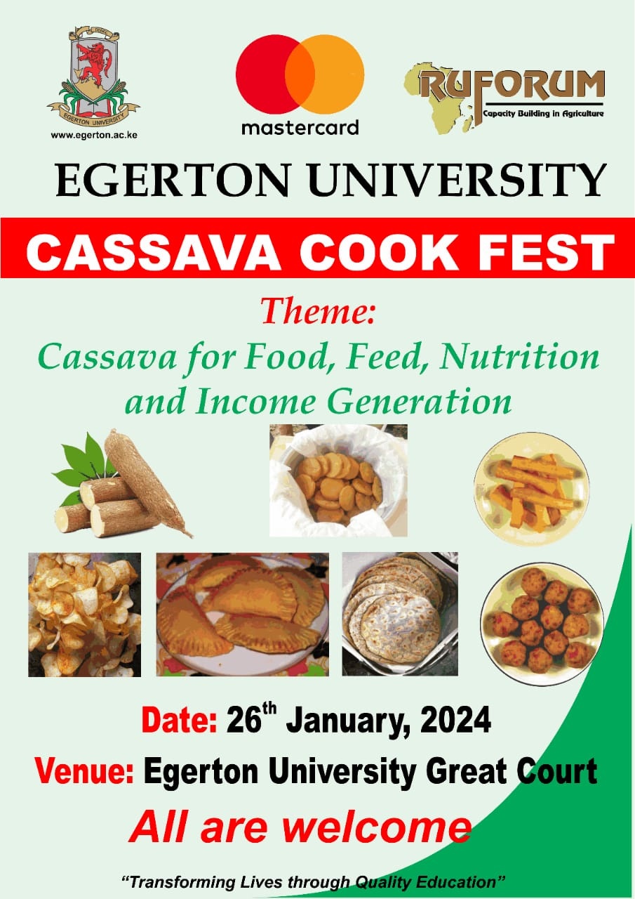 cassava fest