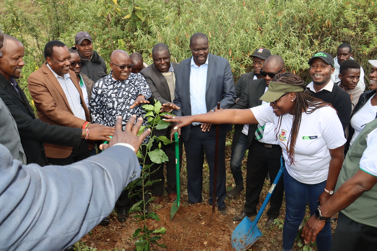 Vice Chancellor Hands Over Conserved Forest to Narok County Government