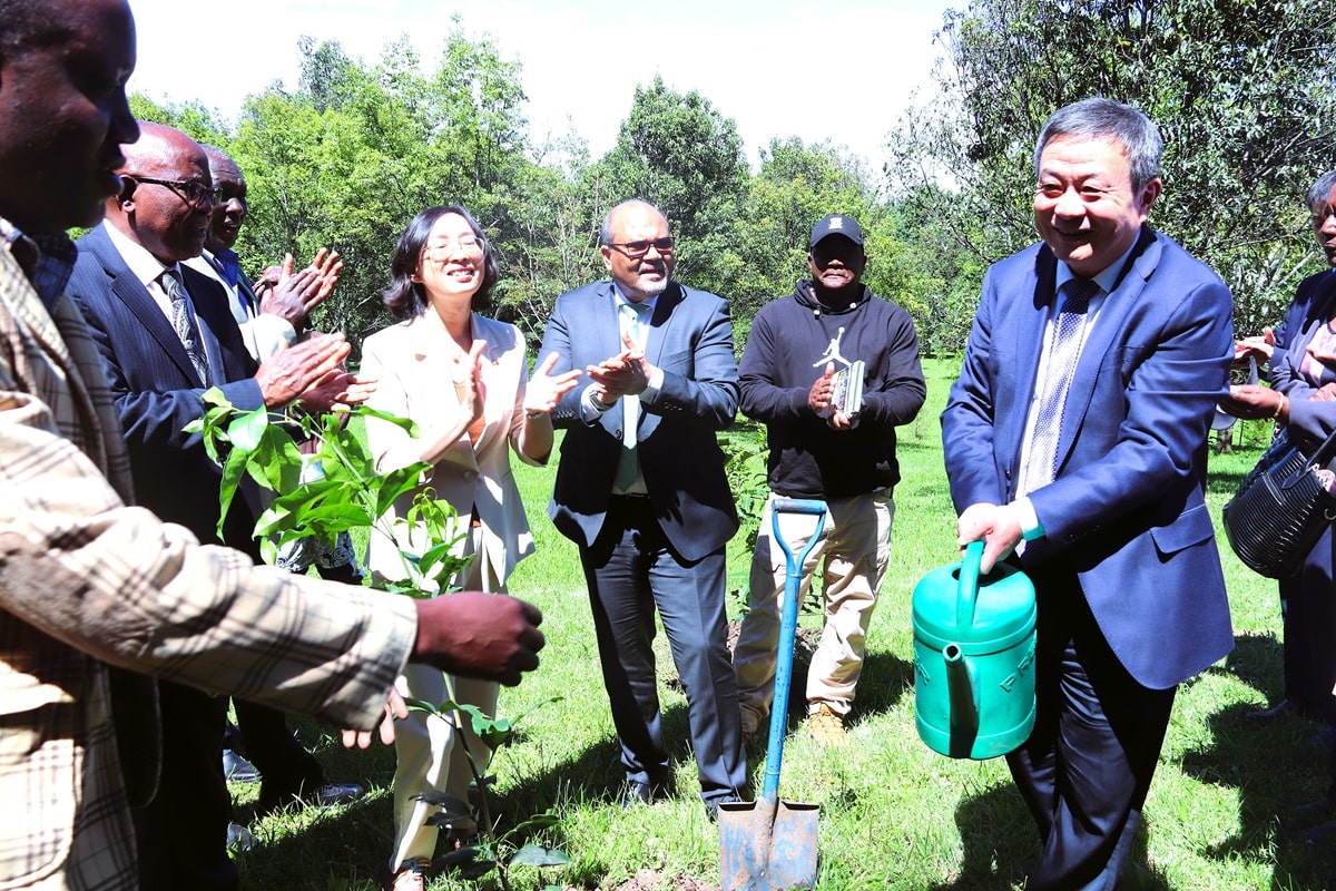 ambassador planting trees min