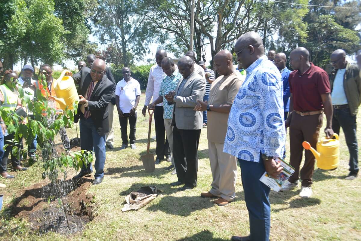 bore hole1