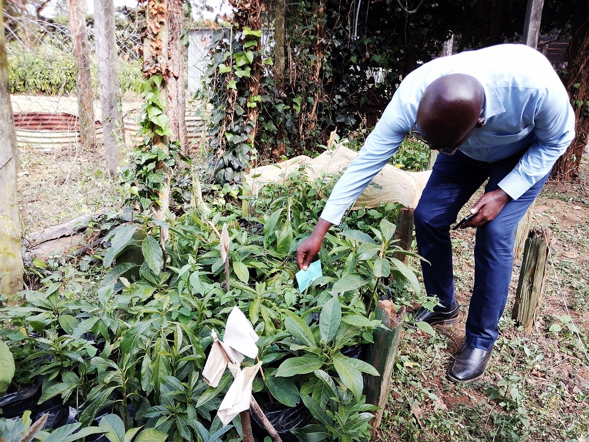 Government Taskforce Seeks Egerton University Partnership to Strengthen Coffee Value Chain Reforms	