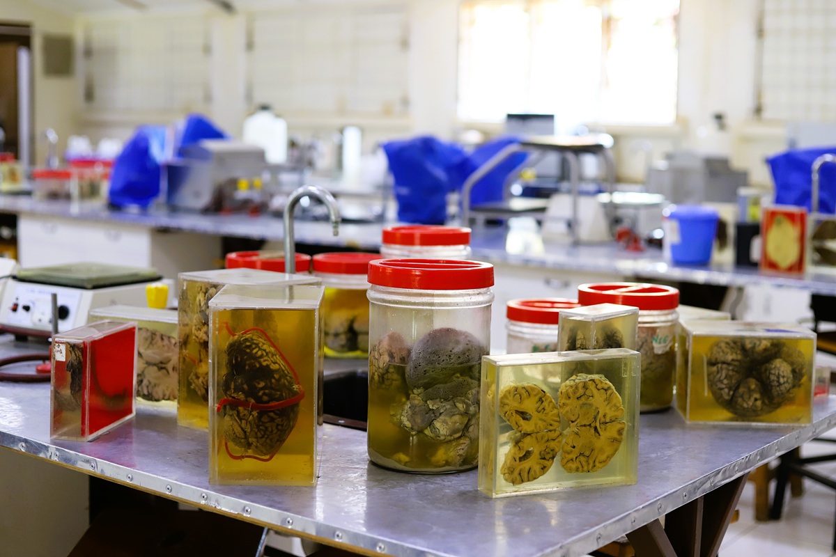 specimens
