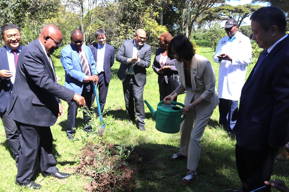 group_planting_trees-min