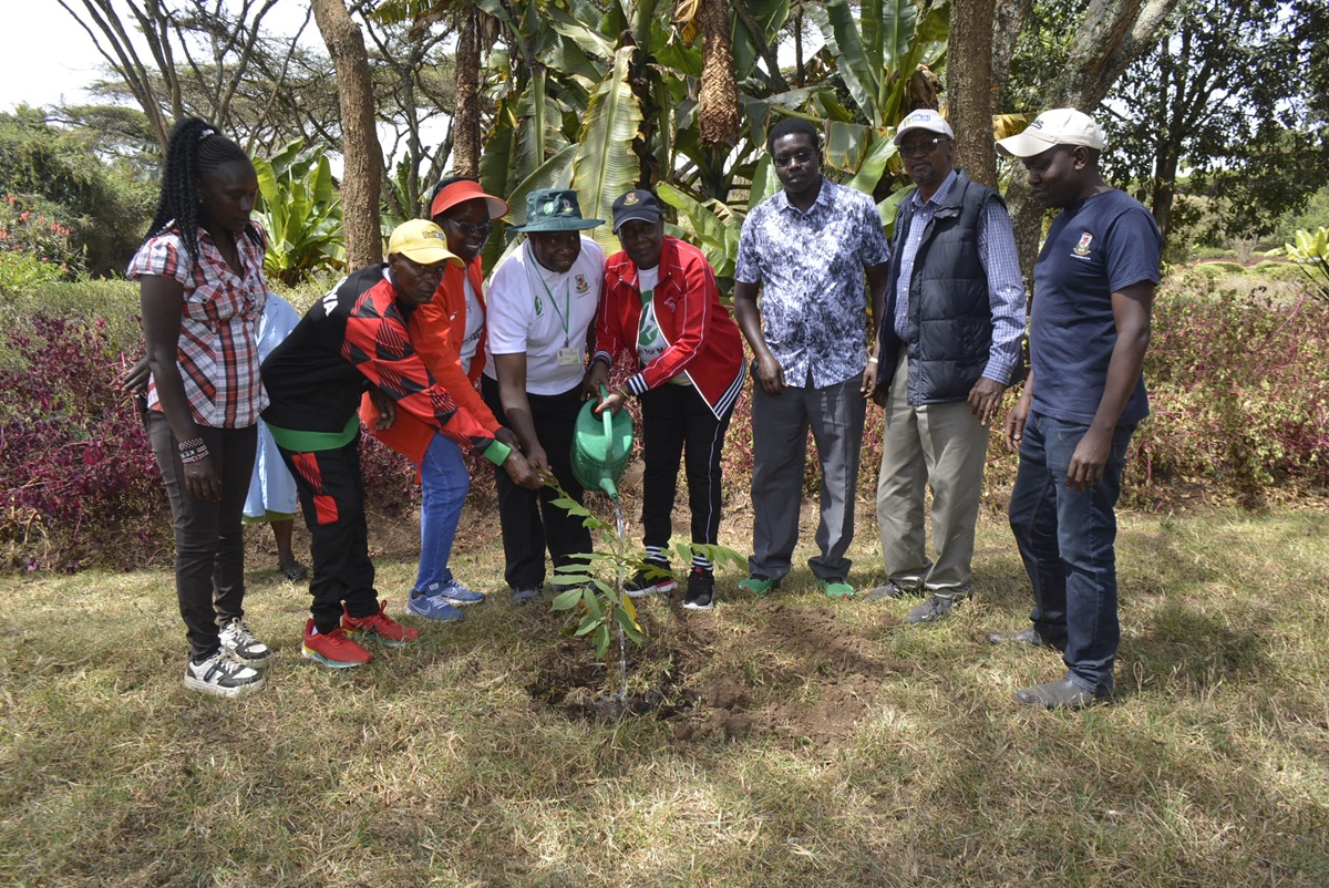 tree_planting_mau_launch