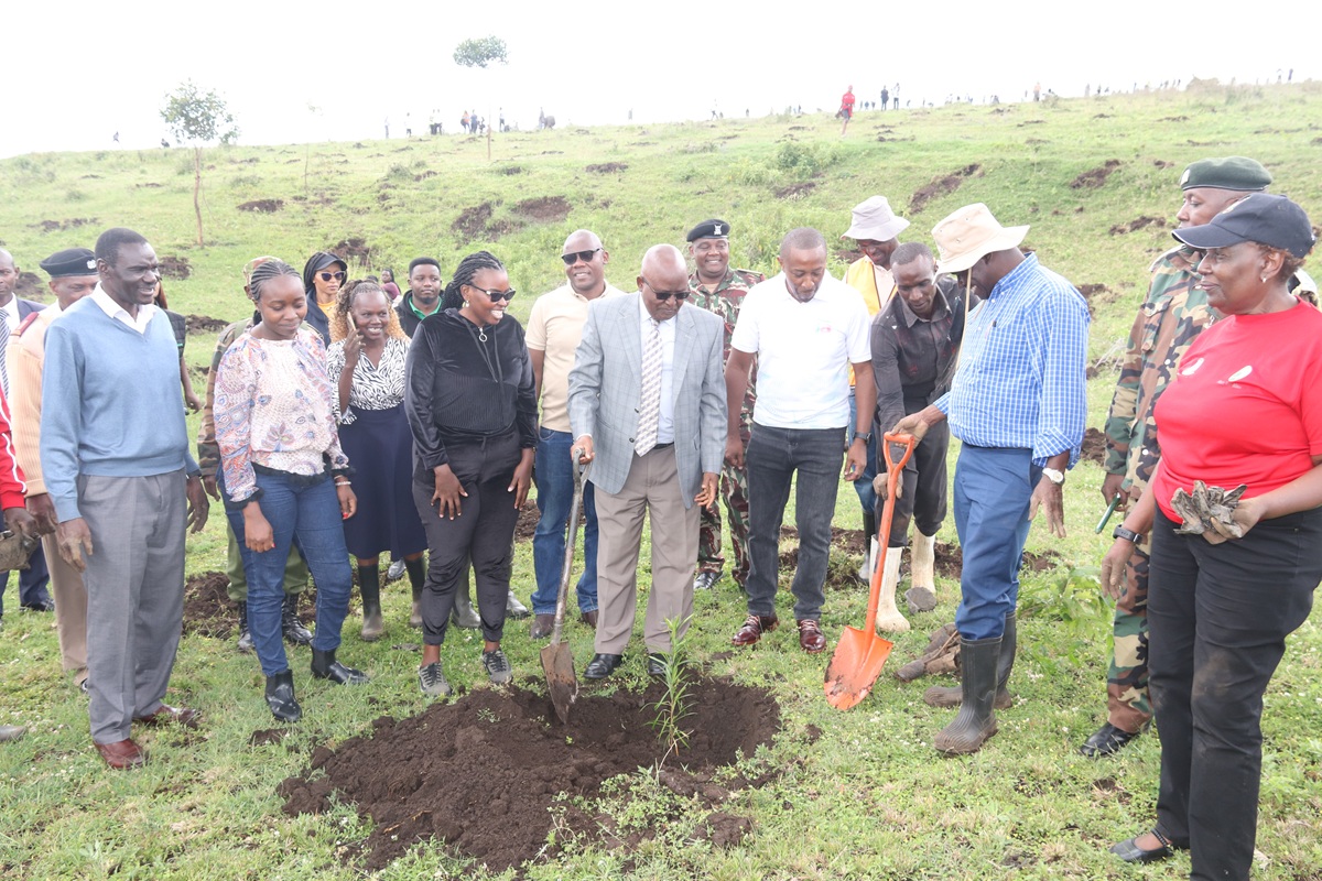 safaricom egerton tree planting 2025