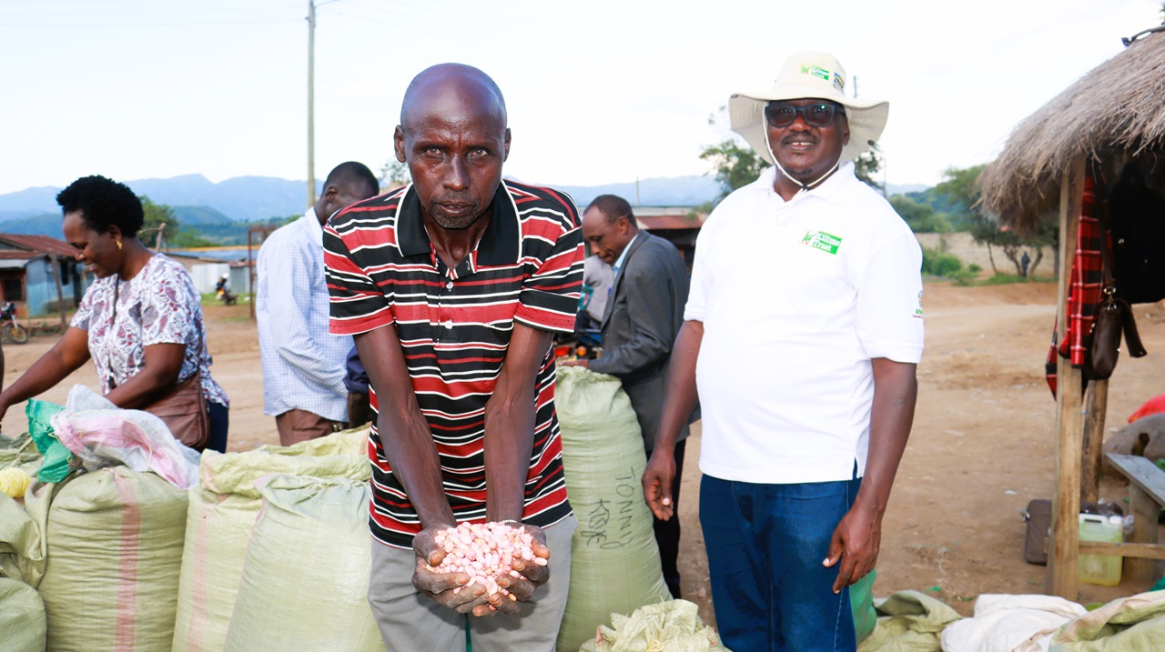 Egerton University Team Leads Successful Groundnut Value Chain Field Day with Key Stakeholders in Elgeyo Marakwet