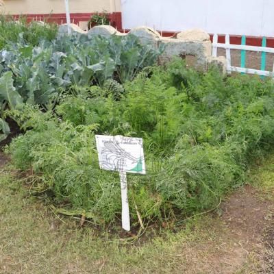Nakuru Agricultural Show 2022 26
