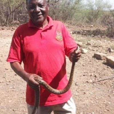 Mr. Cheruiyot And Mr. Kimitei Showcasing The Length Of The African Rock Python In Chemeron 1