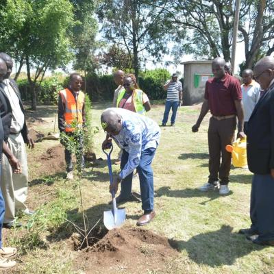 Borehole3