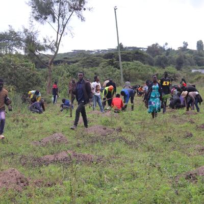 Tree Planting
